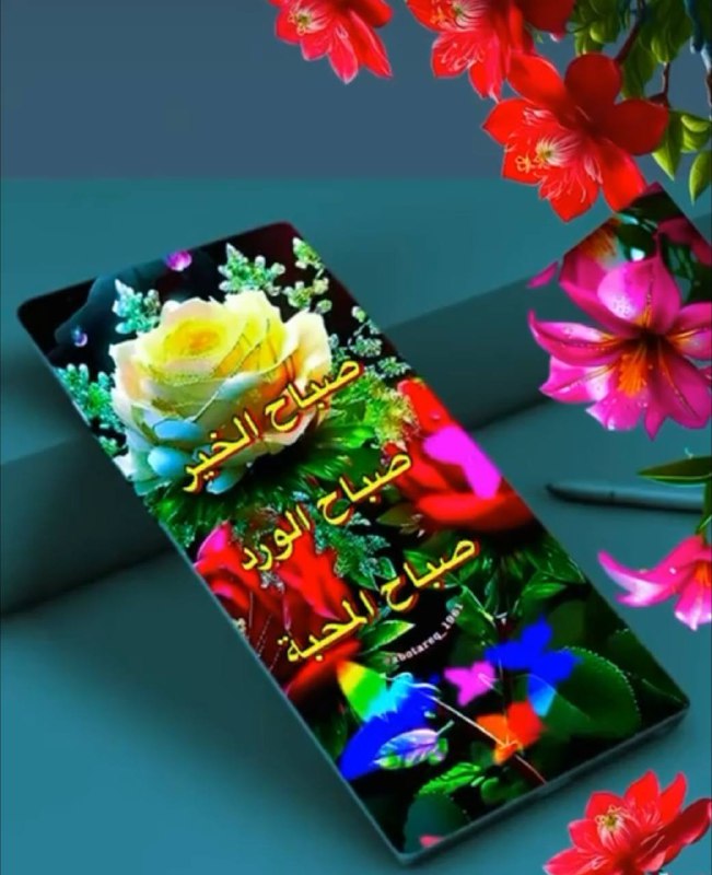 🌴مناظر خلابه🌴