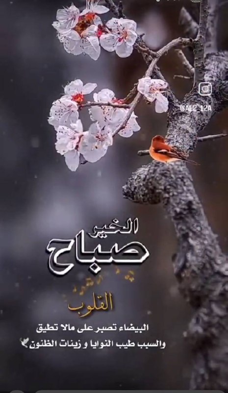 🌴مناظر خلابه🌴