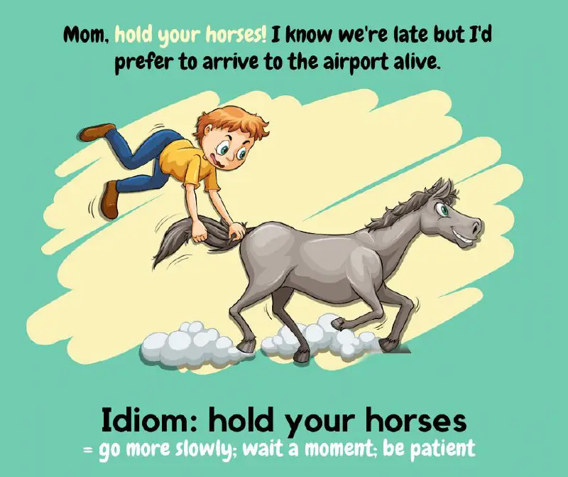 **[ 13 ] Hold your horses …