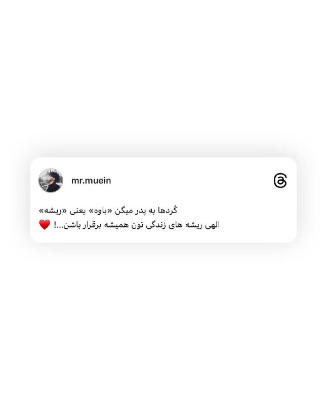 سایه‌اش خانه‌ی امنی است پر از …