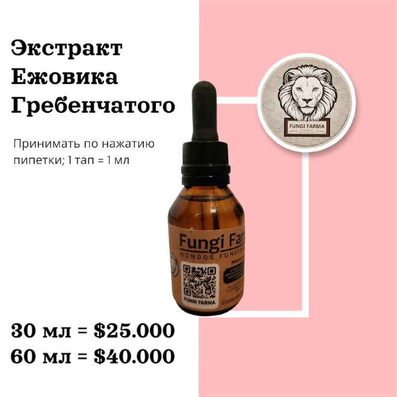 Fungi Farma | Ежовик Буэнос-Айрес