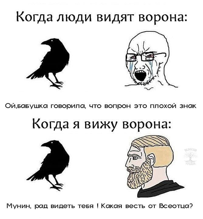 Всеотец напоминает, что сегодня пятница ***🤙🏻***