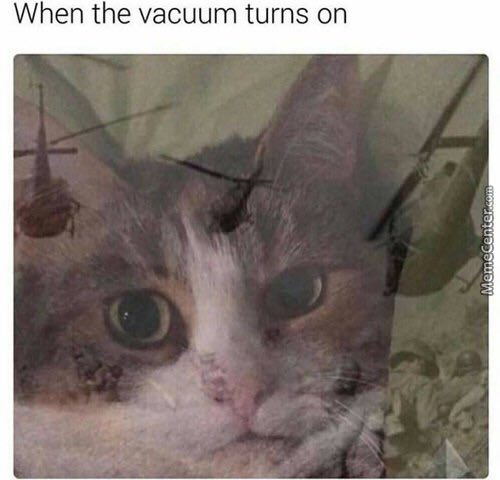 When the vacuum turns on