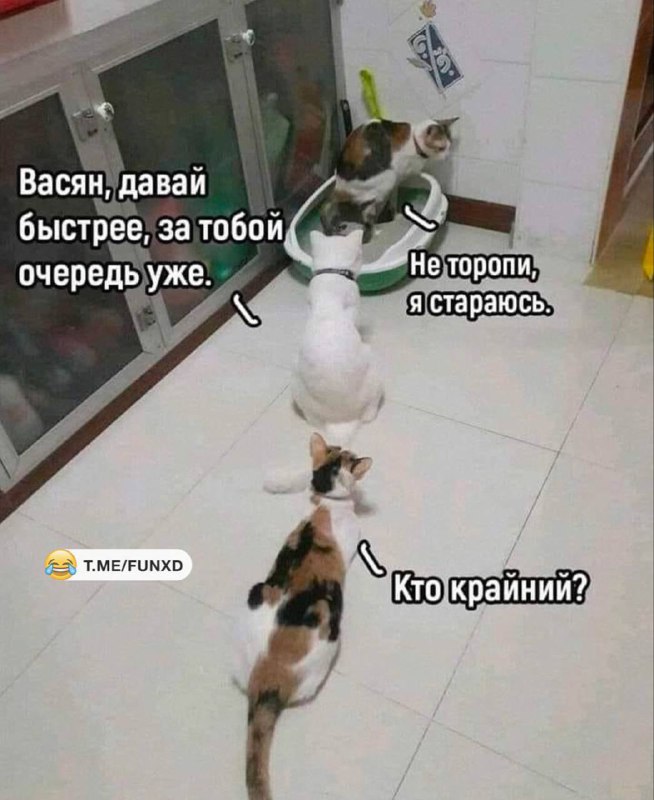 Улётные приколы😂