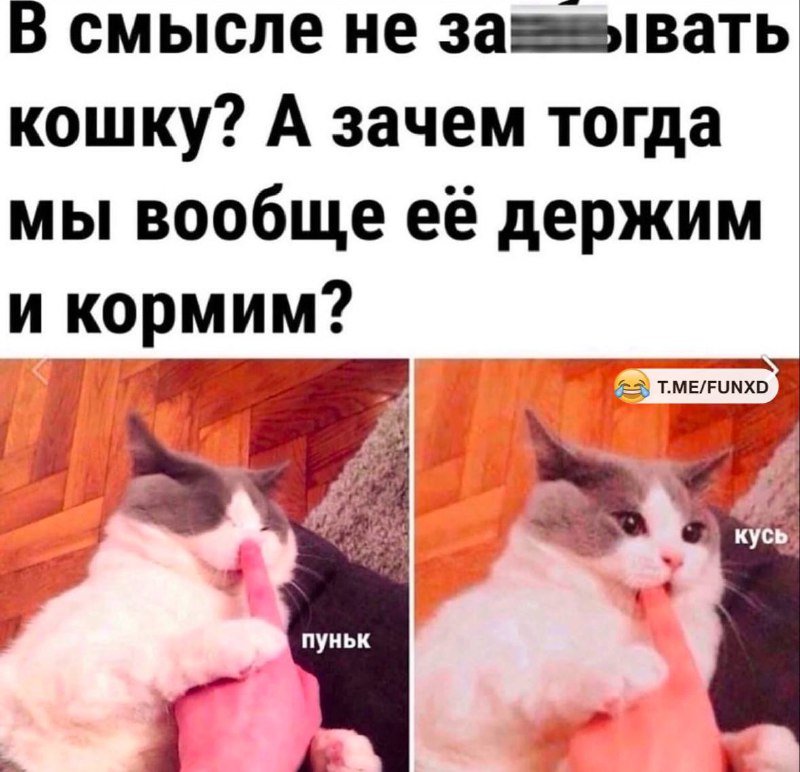 Улётные приколы😂