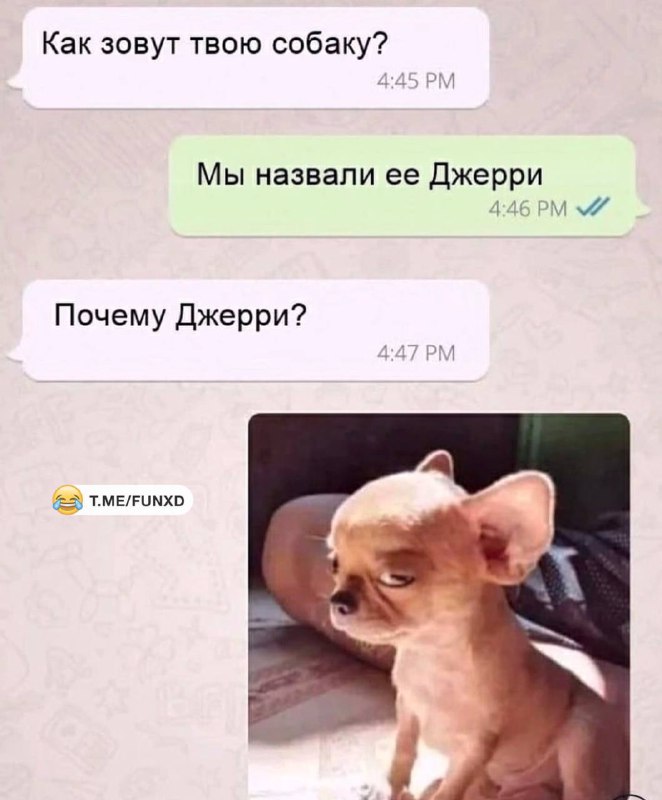 Улётные приколы😂