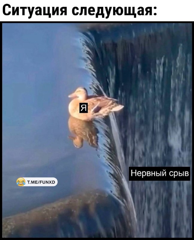 Улётные приколы😂