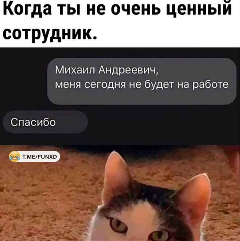 Улётные приколы😂