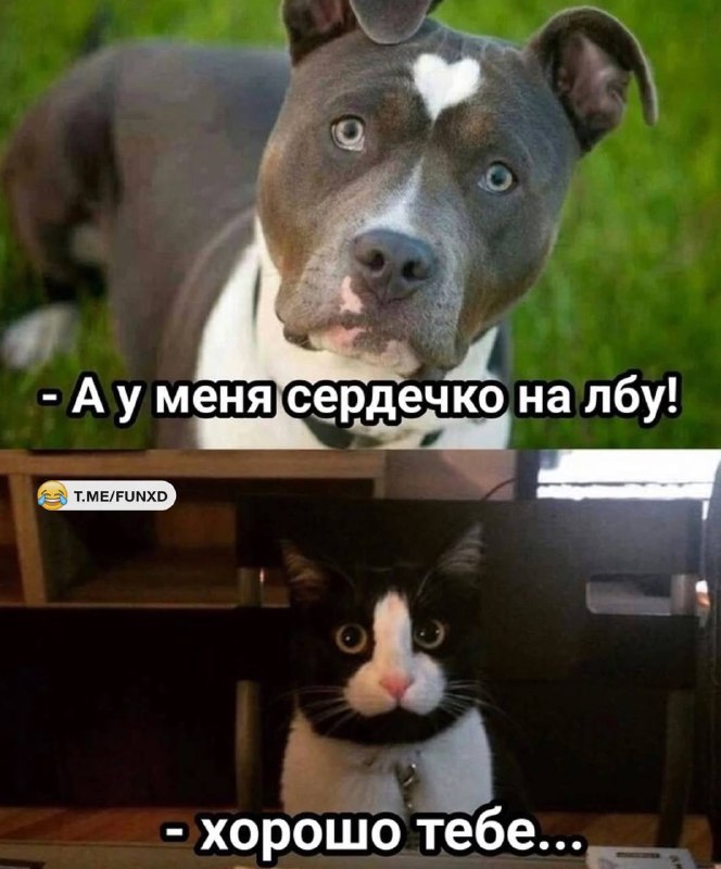 Улётные приколы😂