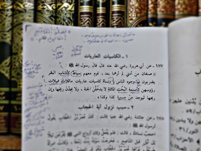 صِنْفانِ مِن أهْلِ النَّارِ لَمْ أرَهُما، …