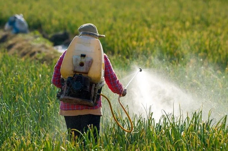 **Contaminación por agrotóxicos en Brasil aumentó …