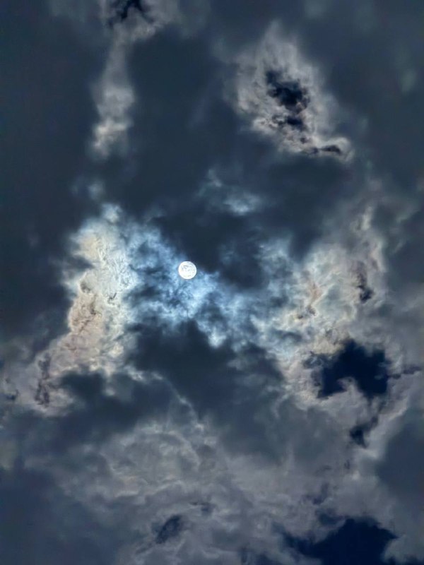فَاطِمَّة أَو شَيءً آخَر •