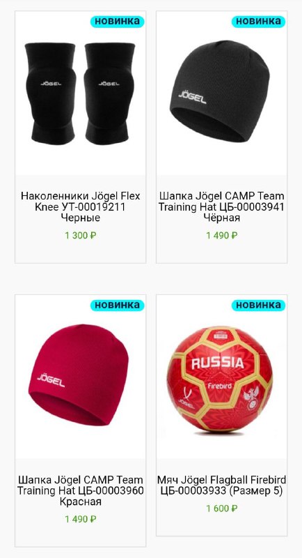 FUTSALPRO.RU