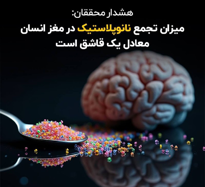 ***🔴*** هشدار محققان: میزان تجمع نانوپلاستیک …
