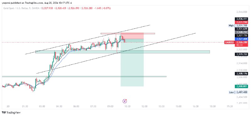 The Trader's Team Forex