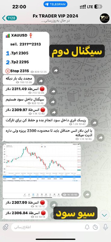 گزارشات روزانه فارکس تریدر