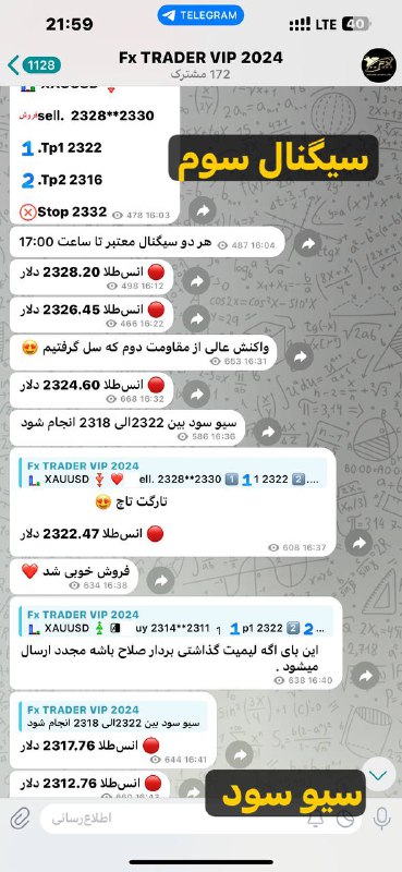 گزارشات روزانه فارکس تریدر