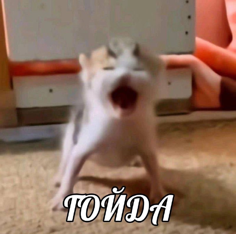 га?а