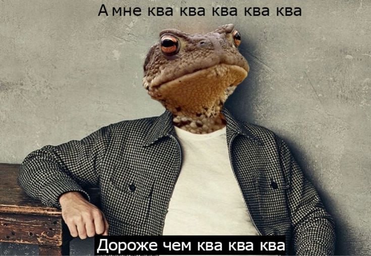 Жабы мои жабы