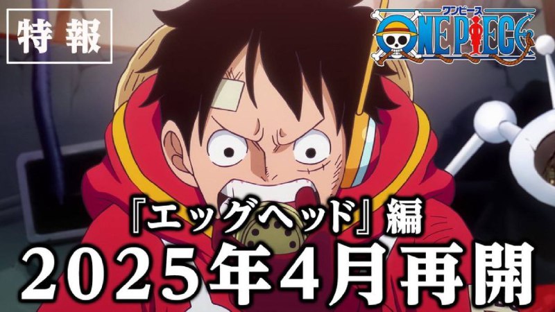 L'anime "One Piece" andrà in pausa …