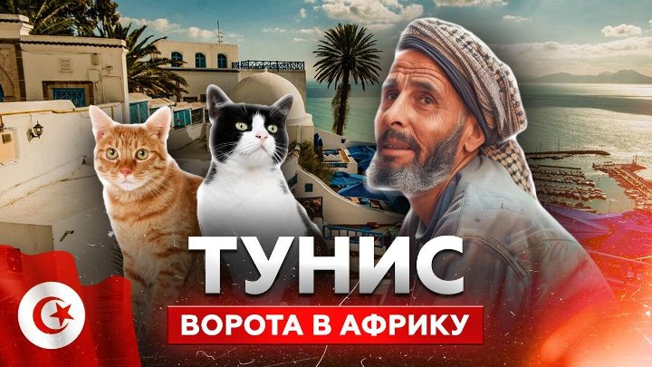 ***🇹🇳*****ТУНИС: маленькая страна с великой историей …