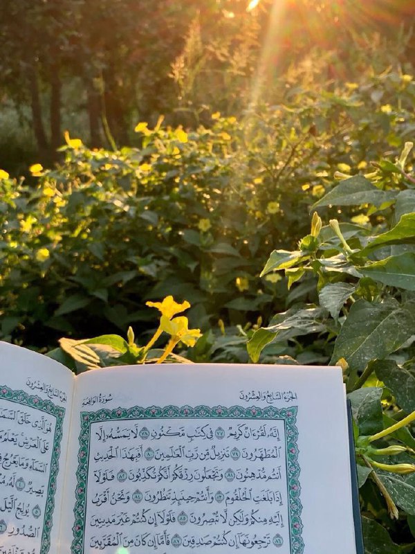 مرحبًا..