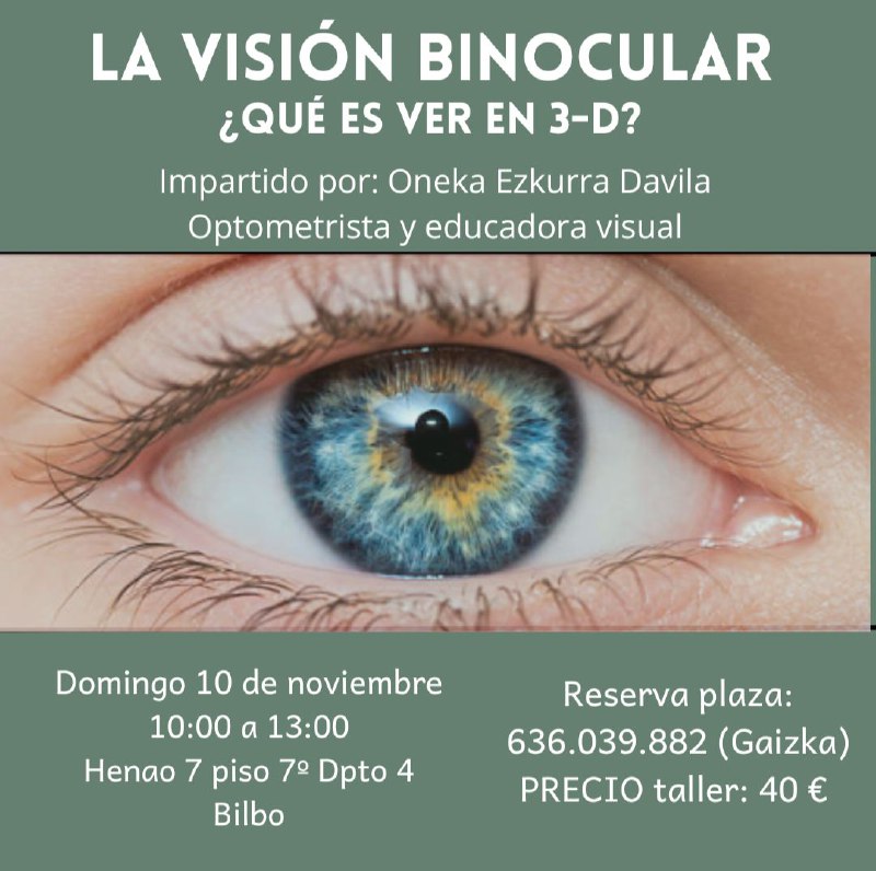 TALLER DE VISION BINOCULAR