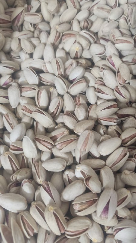 اکبری درشت و امسالی