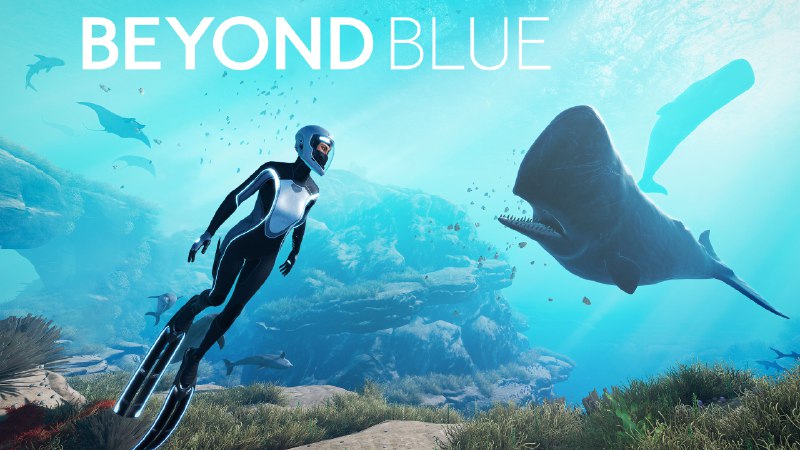 ***🐳*** **Beyond Blue: A Deep Dive …