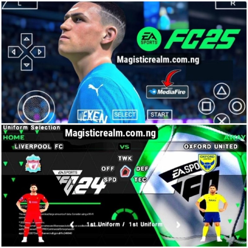 ***✅*** EA SPORTS FC 25 offline …