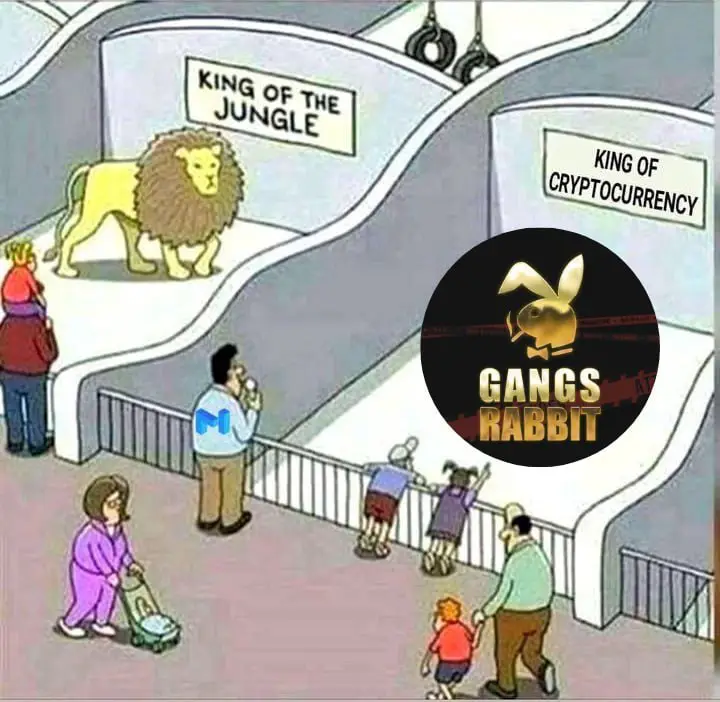 GangsRabbitChannel
