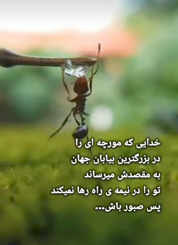 ﷽