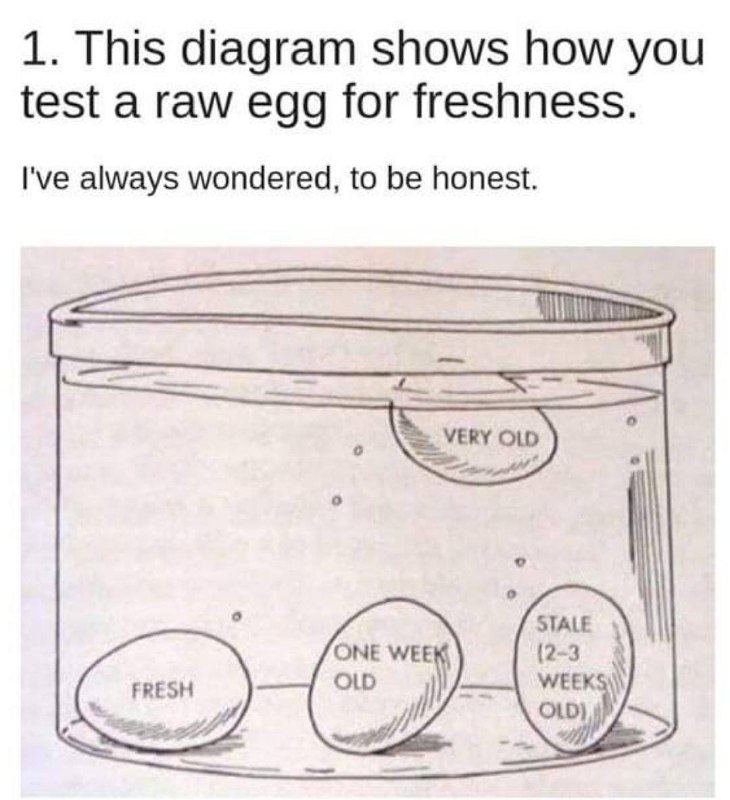 Egg guide