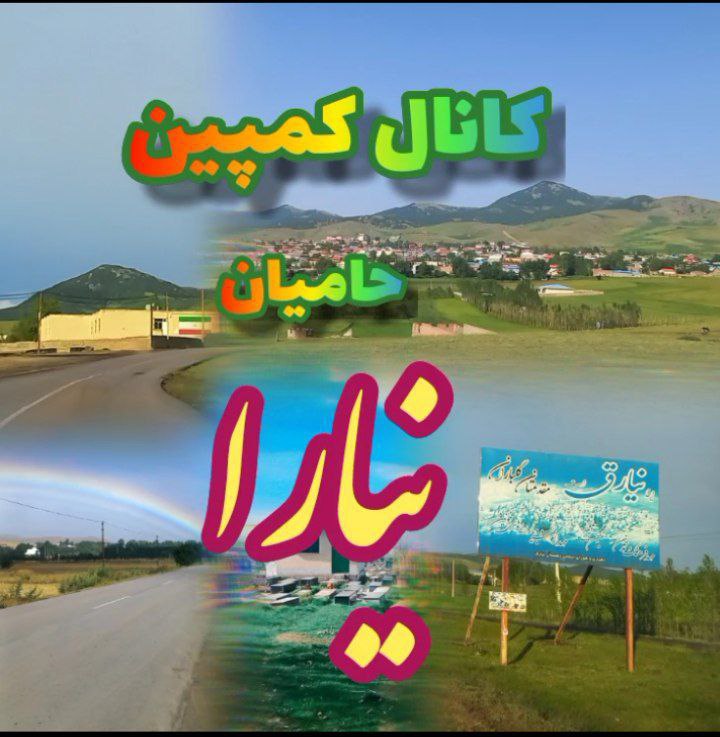 اخبار