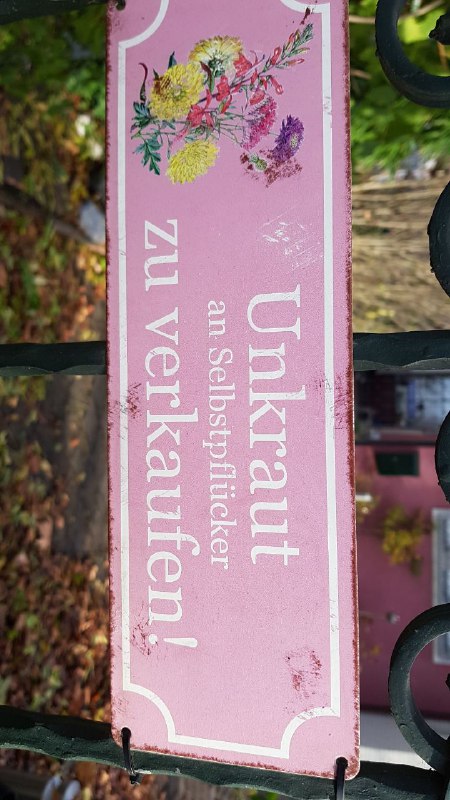 Liebevolle ***💚*** Ideensammlung von [@Gartentipps\_Pflanzen\_Ideen](https://t.me/Gartentipps_Pflanzen_Ideen)