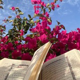 ***?***قائمة النشر الواسع***?***