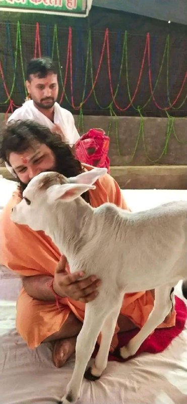 गौ माता आश्रित क्रांति