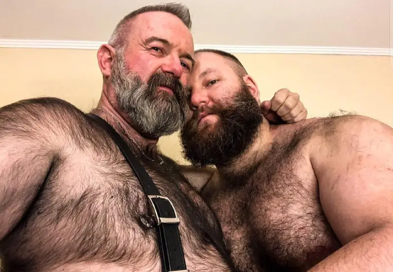 Gay Bears