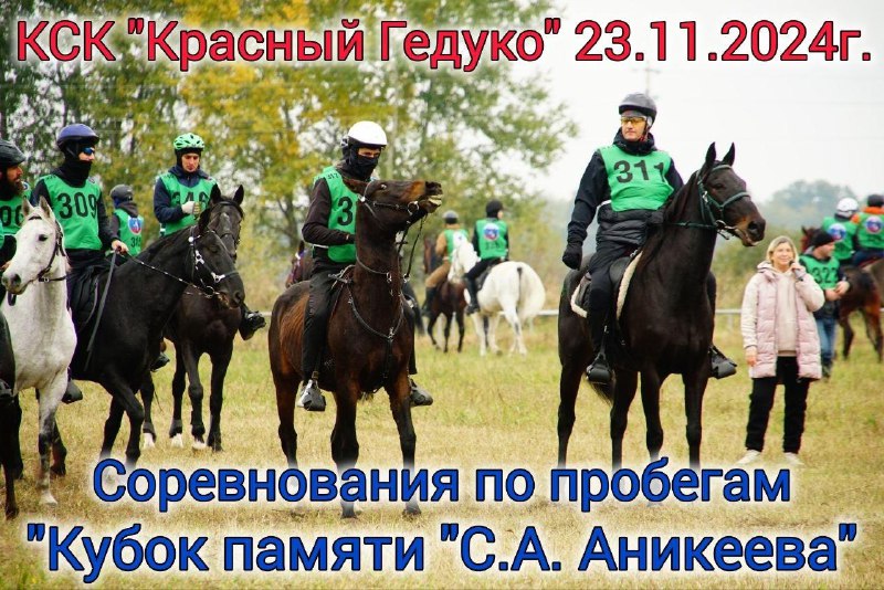 23 ноября в КСК "Красный Гедуко" …