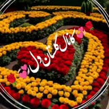 لینکدونی منصور