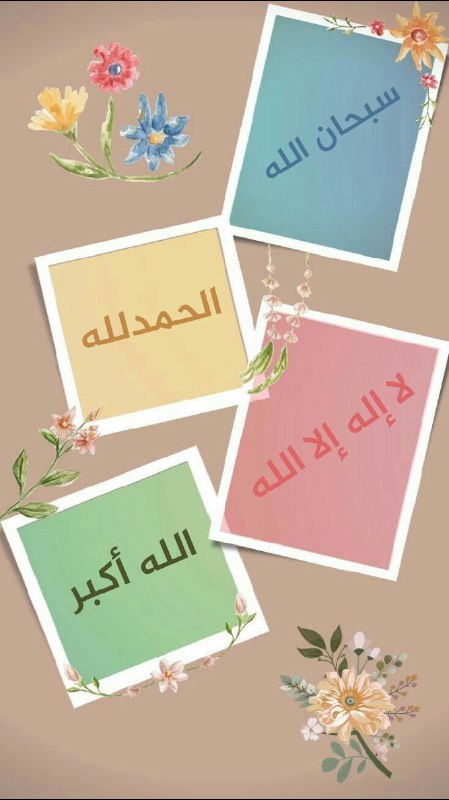 ☝️👑👑على خطى العدنان ،فلنتسابق إلى الجنة …