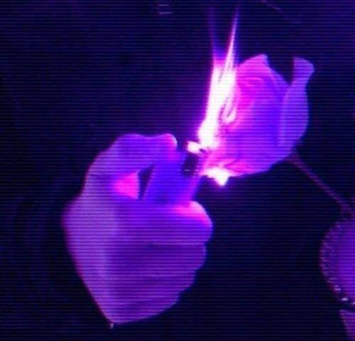 ⊰𓏺𝗕 O 𝗦 T 𝗔 T …