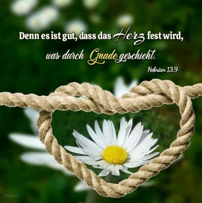 Manna am Morgen