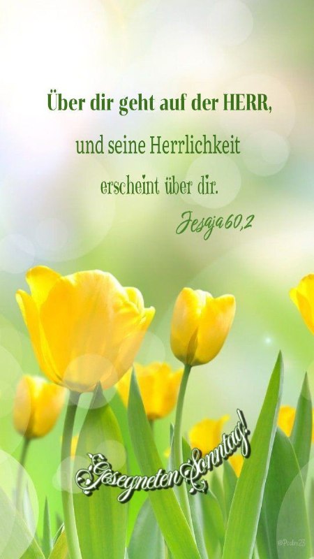 Manna am Morgen