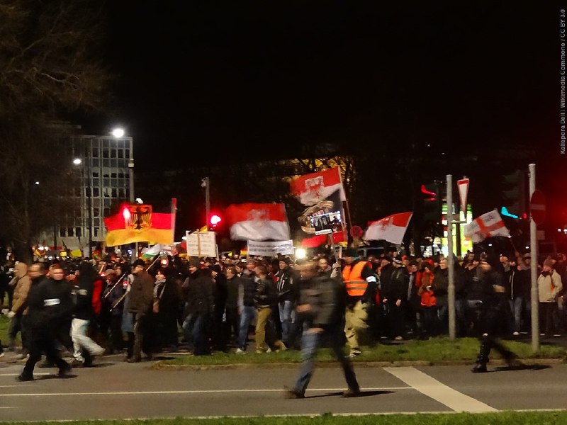 **Mutter der Proteste tritt ab: Pegida …