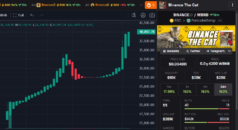 **Binance the Cat****$BINANCE**