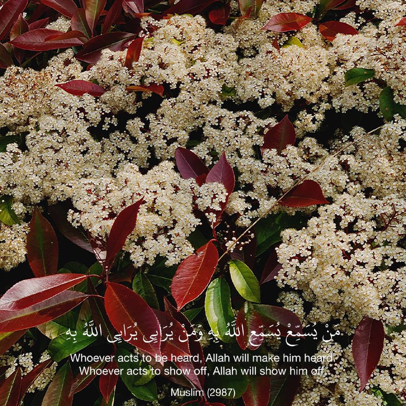Al-Nawawi رحمه الله said: “The scholars …
