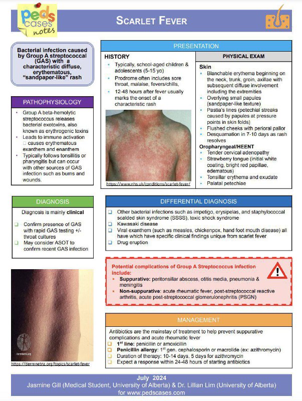 Summary of Scarlet Fever