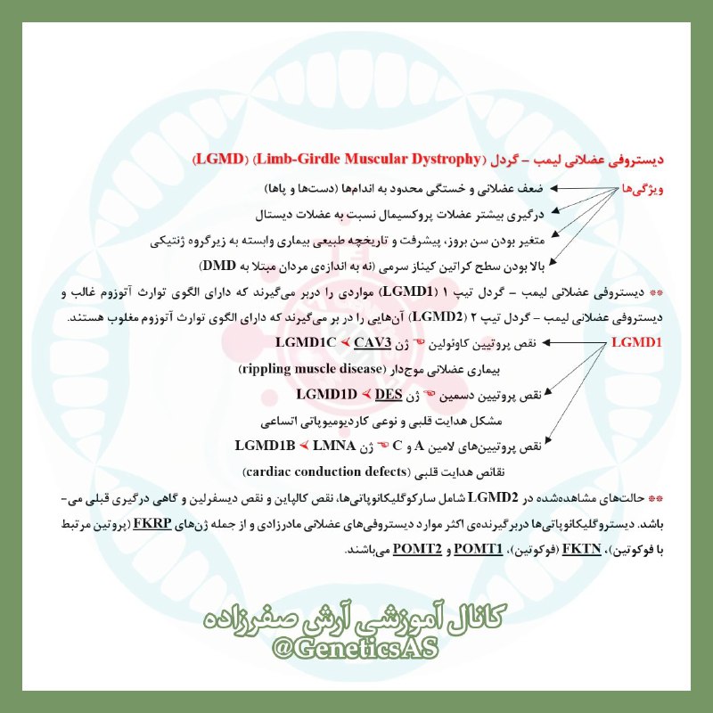 *****✅***** **دیستروفی‌ عضلانی لیمب - گردل** …