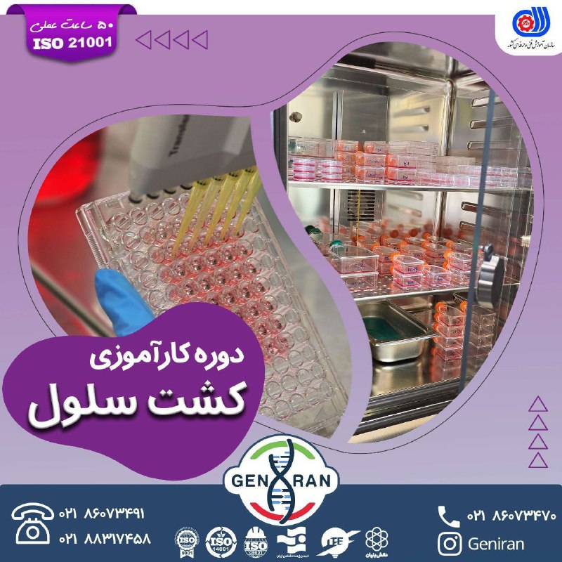 دوره کارآموزی کشت سلول